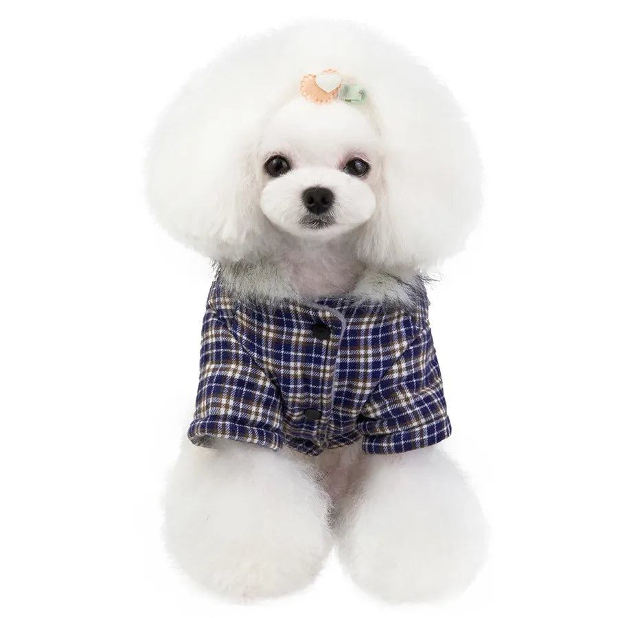 Warm Cotton Winter Coat for Small Dogs