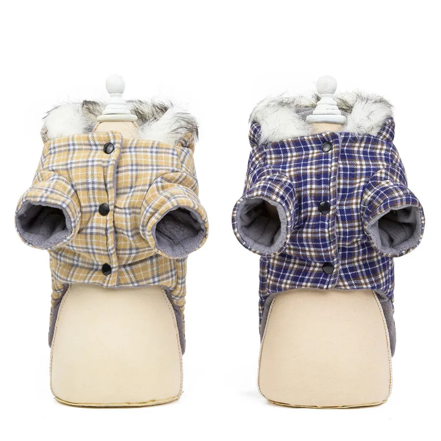 Warm Cotton Winter Coat for Small Dogs