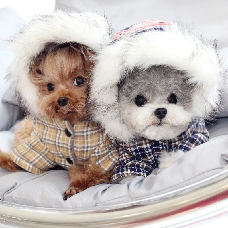 Warm Cotton Winter Coat for Small Dogs