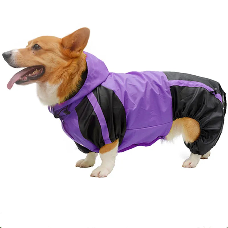 Hooded Waterproof Jumpsuit for Corgis