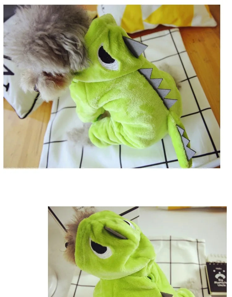 Cute Bear & Dinosaur Dog Costume 🦖🐻