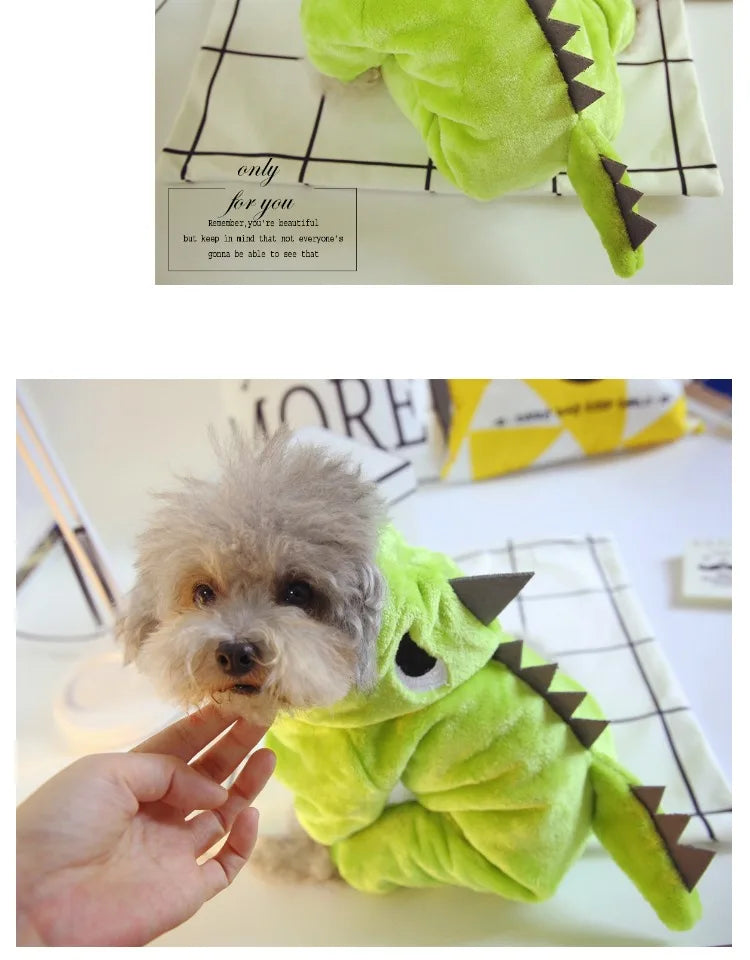 Cute Bear & Dinosaur Dog Costume 🦖🐻