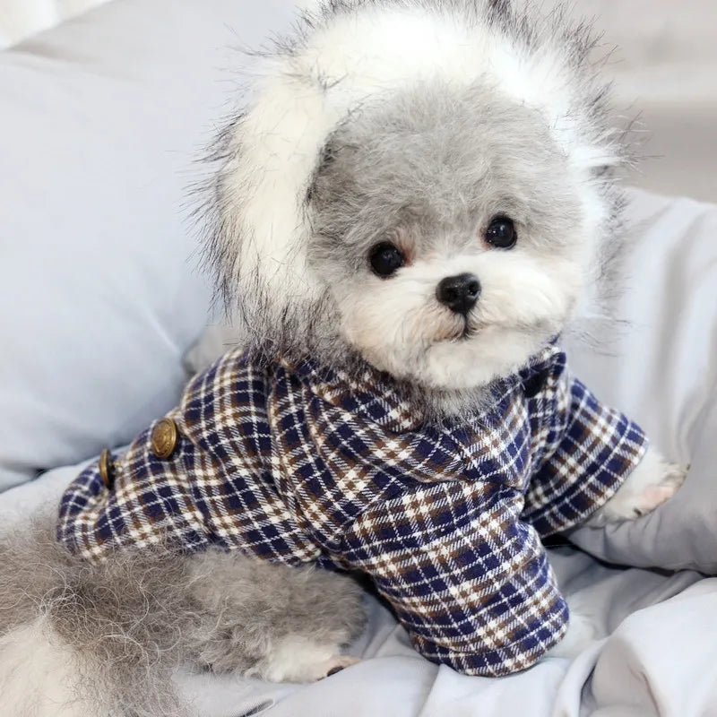 Warm Cotton Winter Coat for Small Dogs