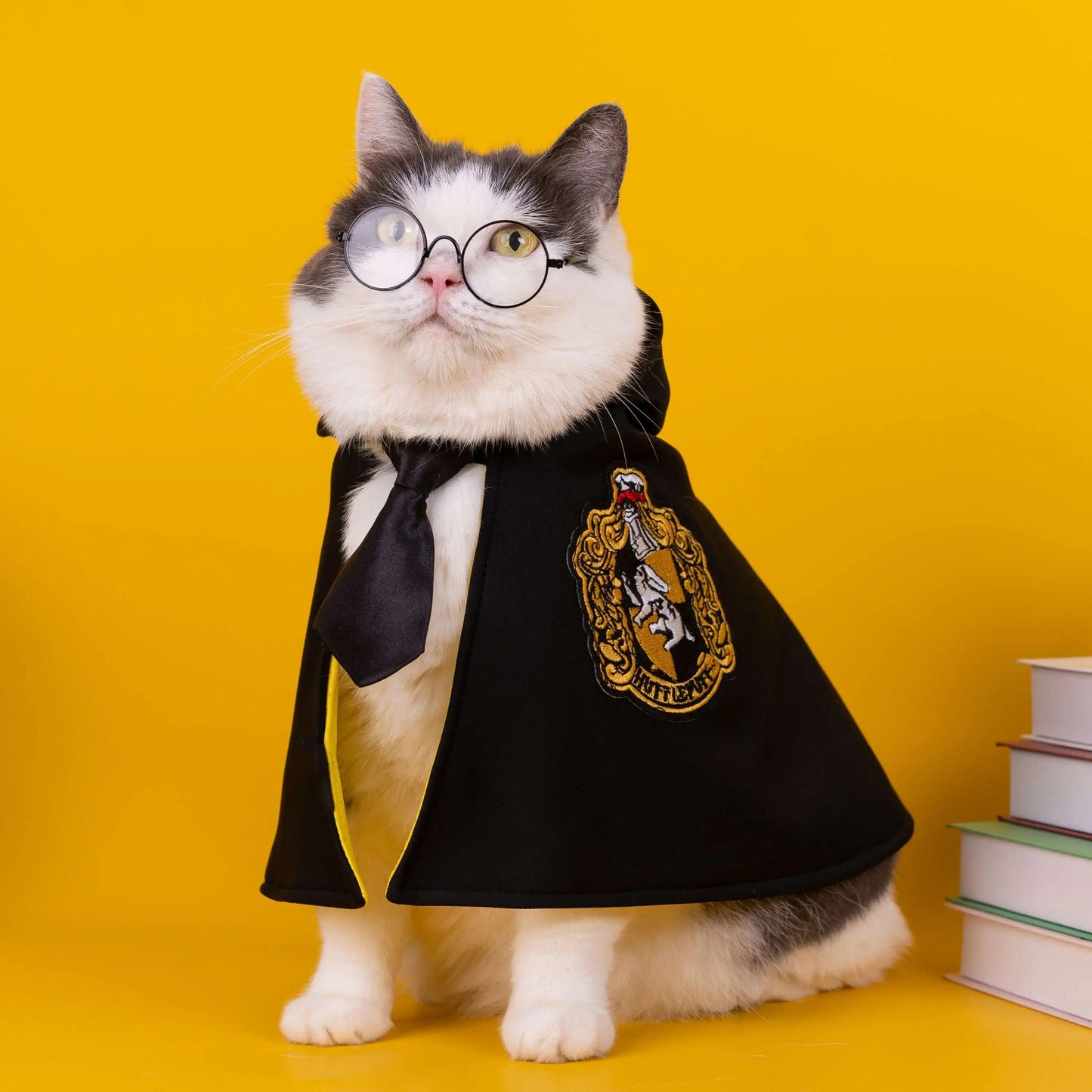 Cat Halloween Costume: Magic Academy Role Play for Cats and Dogs