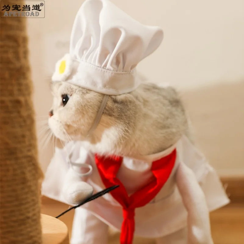 Kawaii Pet Chef Cosplay Costume – Adorable Party & Photography Props! 🍳🐾