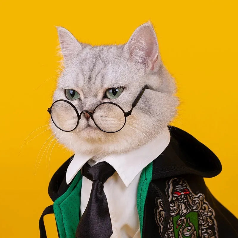 Cat Halloween Costume: Magic Academy Role Play for Cats and Dogs