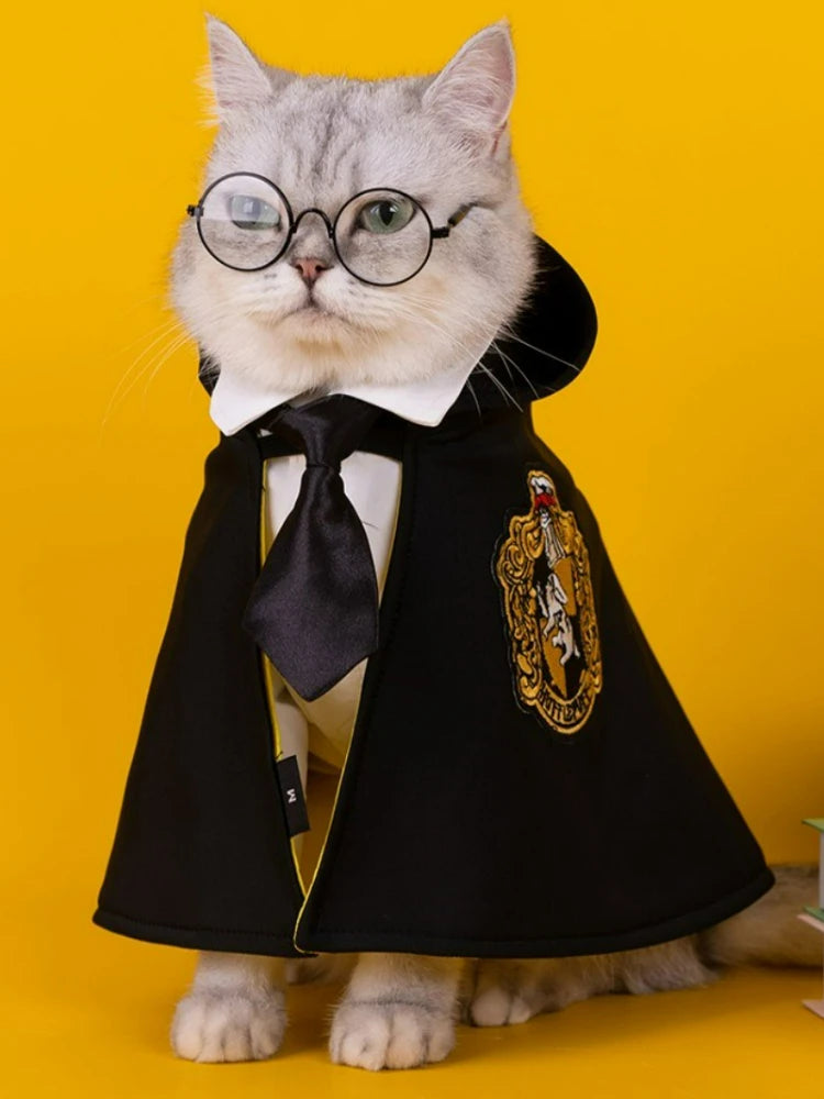 Cat Halloween Costume: Magic Academy Role Play for Cats and Dogs