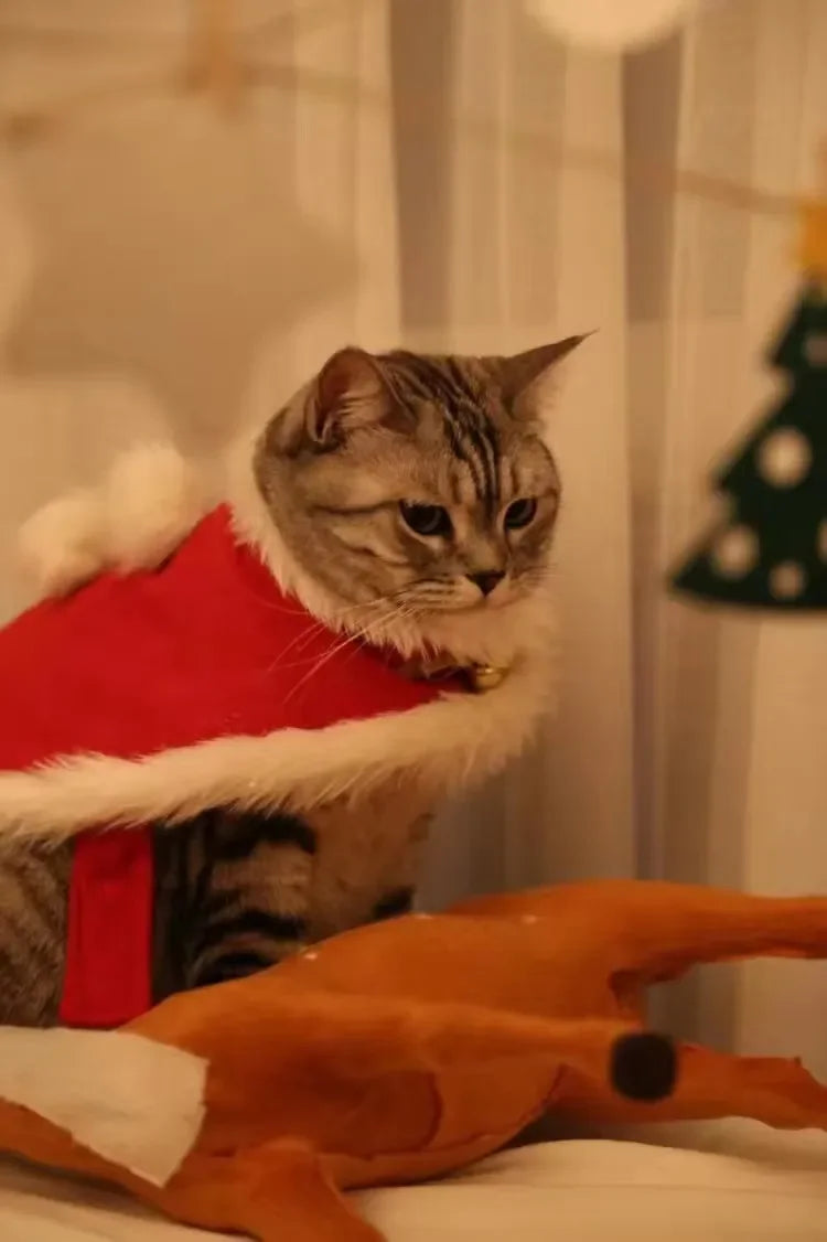 Pet Christmas Cape