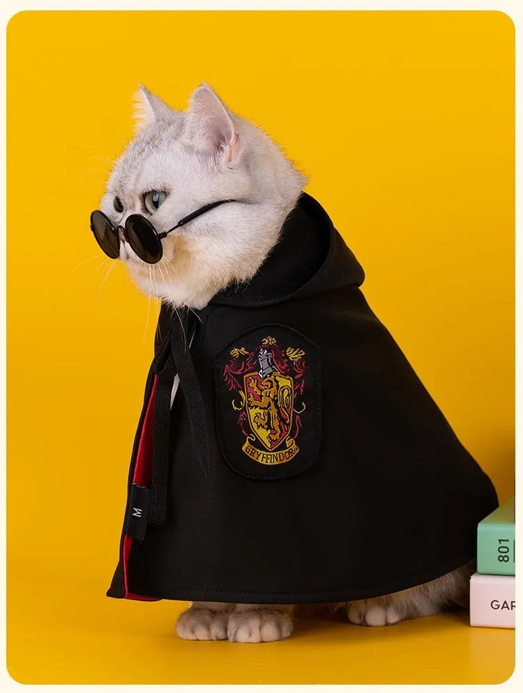 Cat Halloween Costume: Magic Academy Role Play for Cats and Dogs