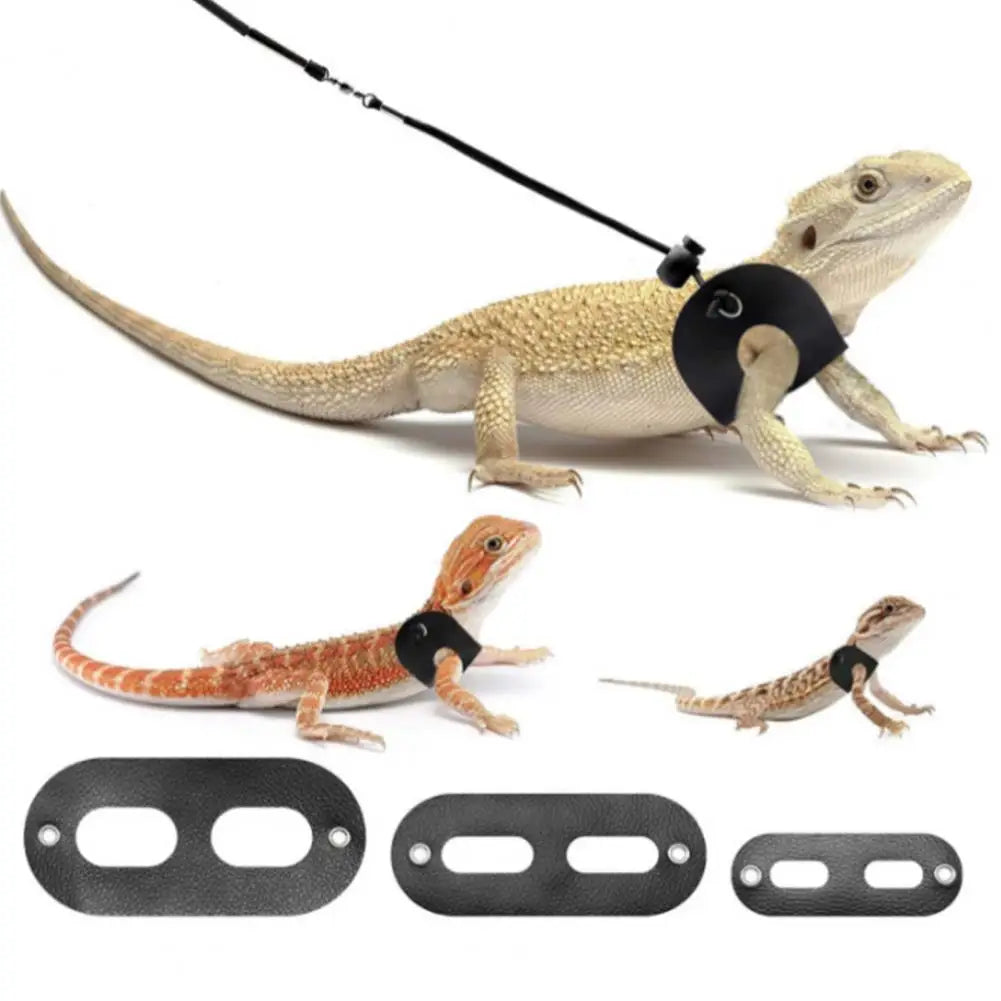 Adjustable Lizard Harness Set - Soft & Durable