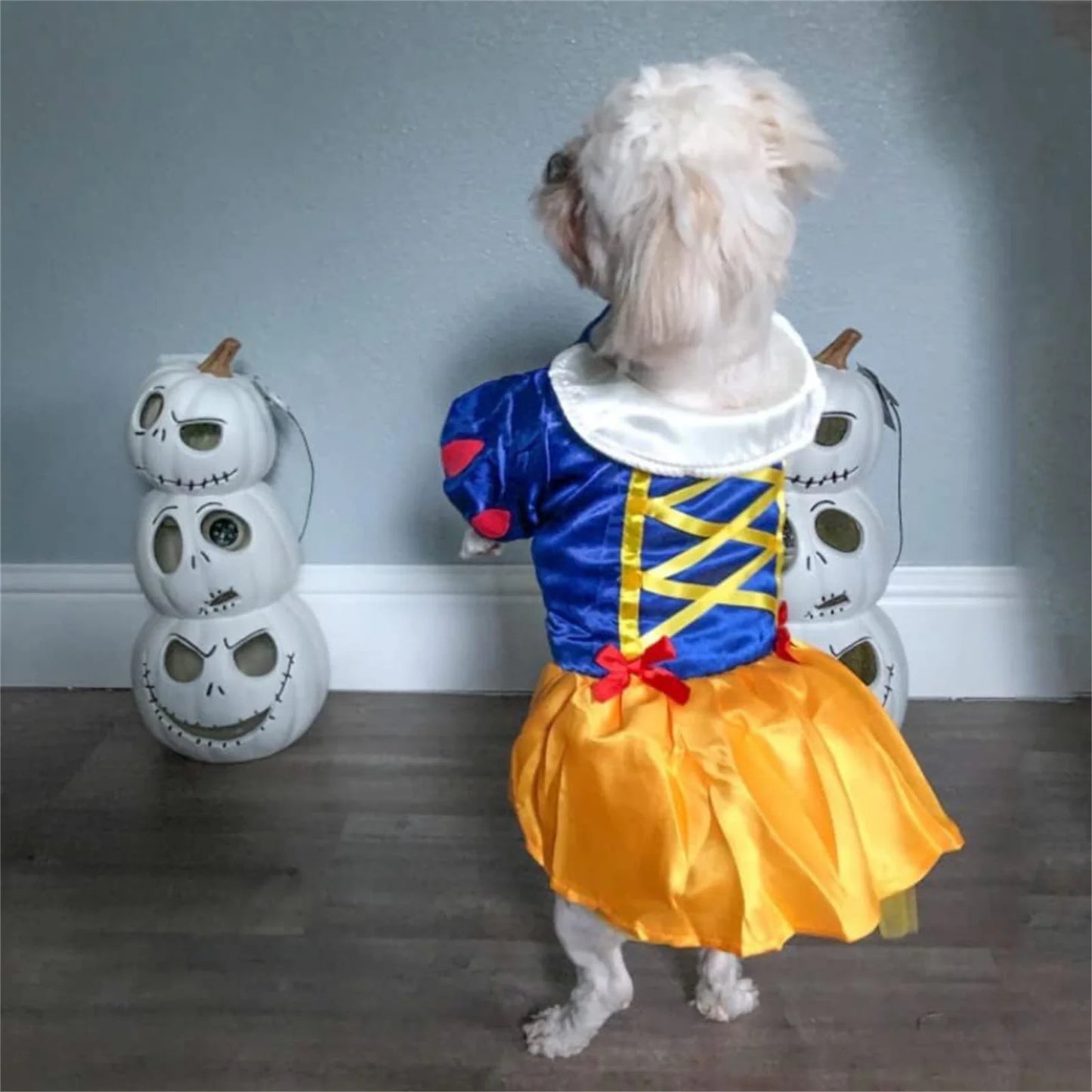 Princess Dog Costume – Snow White Dress