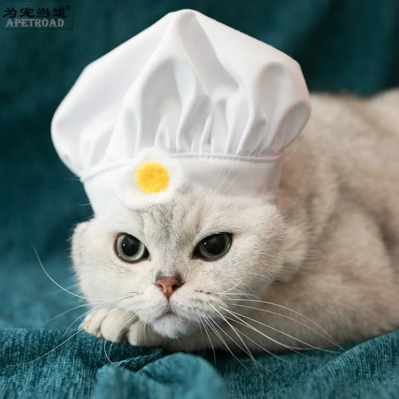 Kawaii Pet Chef Cosplay Costume – Adorable Party & Photography Props! 🍳🐾