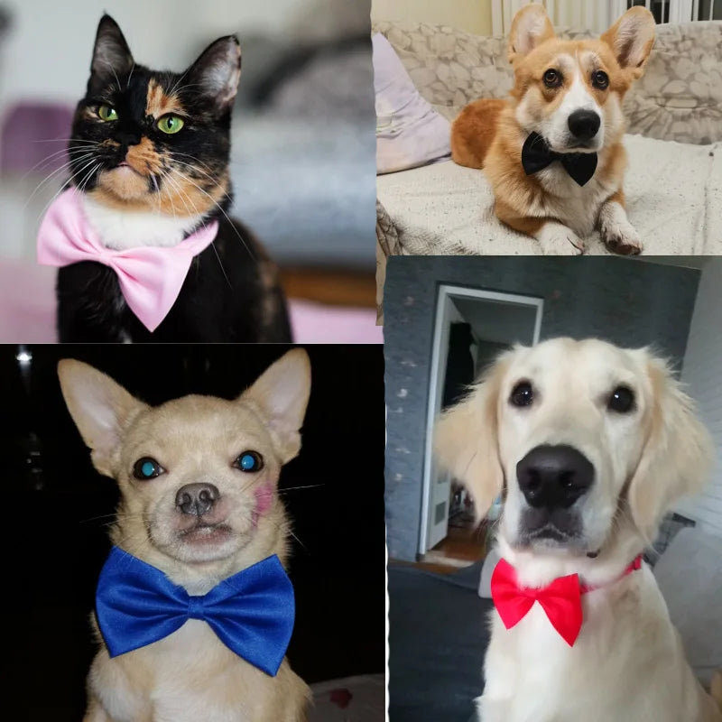 Adjustable Pet Bow Tie Collar - Perfect for Dogs & Cats