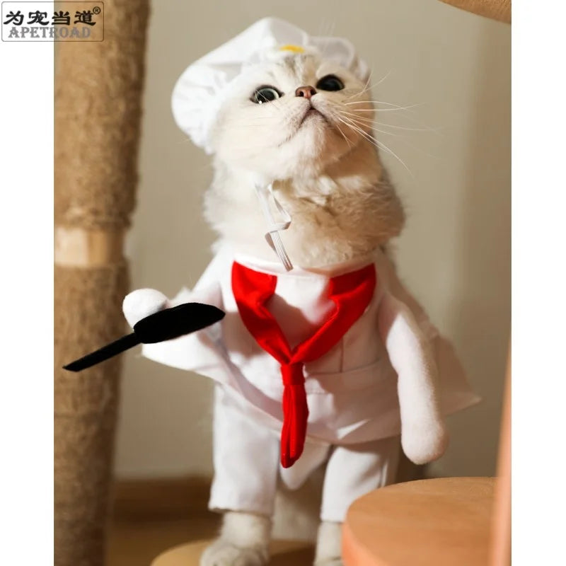 Kawaii Pet Chef Cosplay Costume – Adorable Party & Photography Props! 🍳🐾