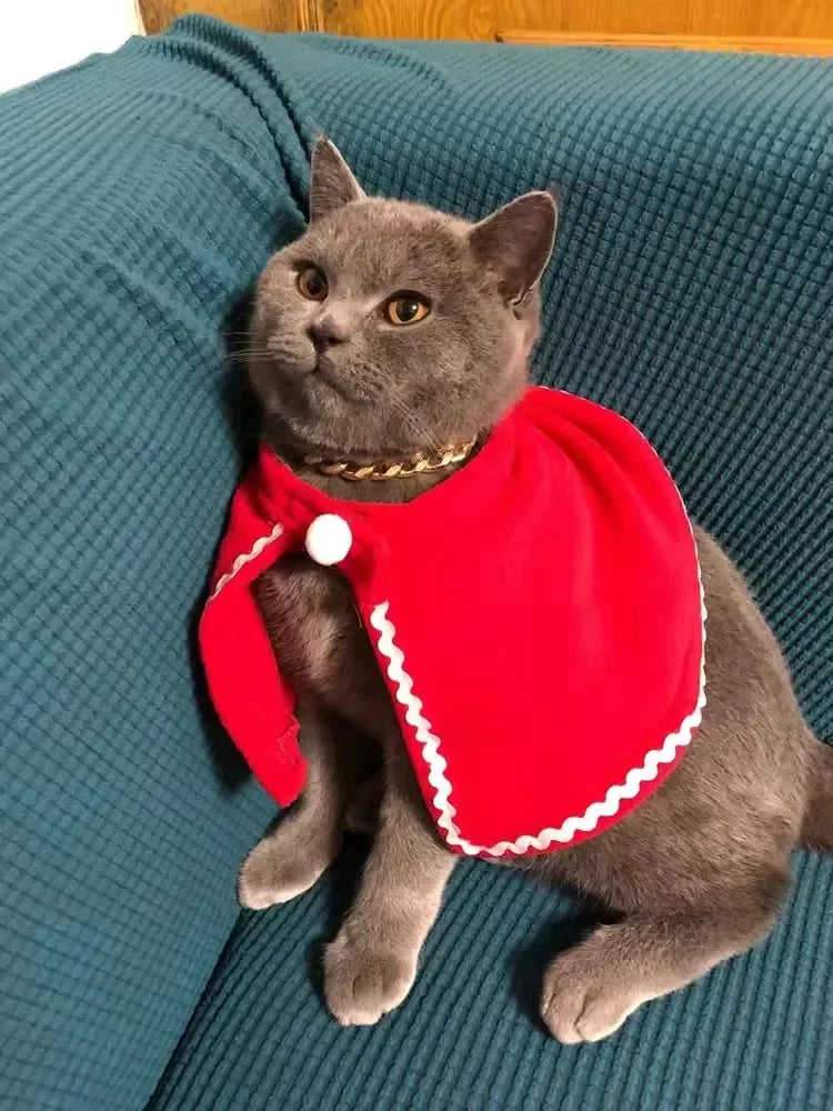 Pet Christmas Cape