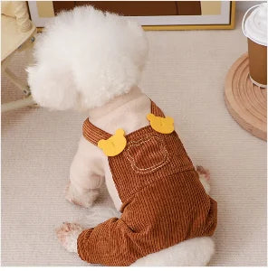 Cute Bear & Dinosaur Dog Costume 🦖🐻