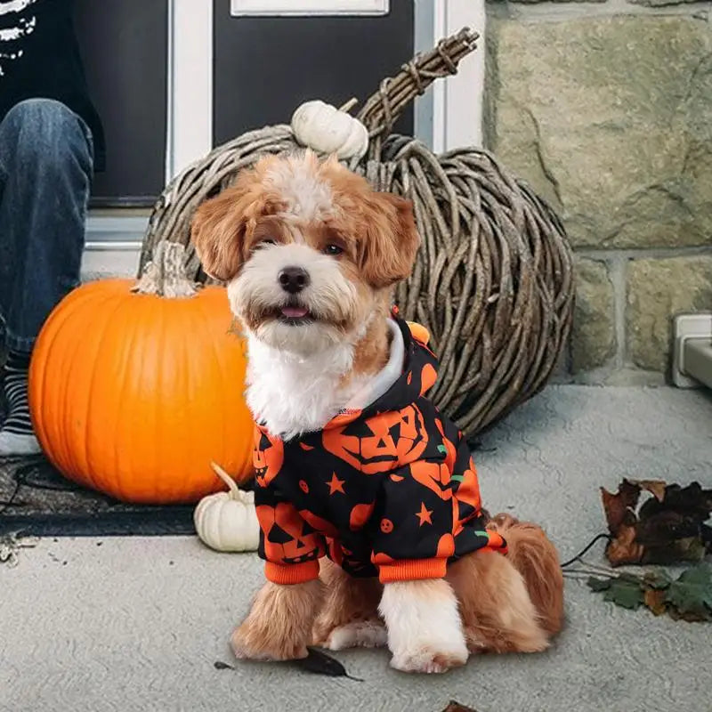 Pumpkin Halloween Costume