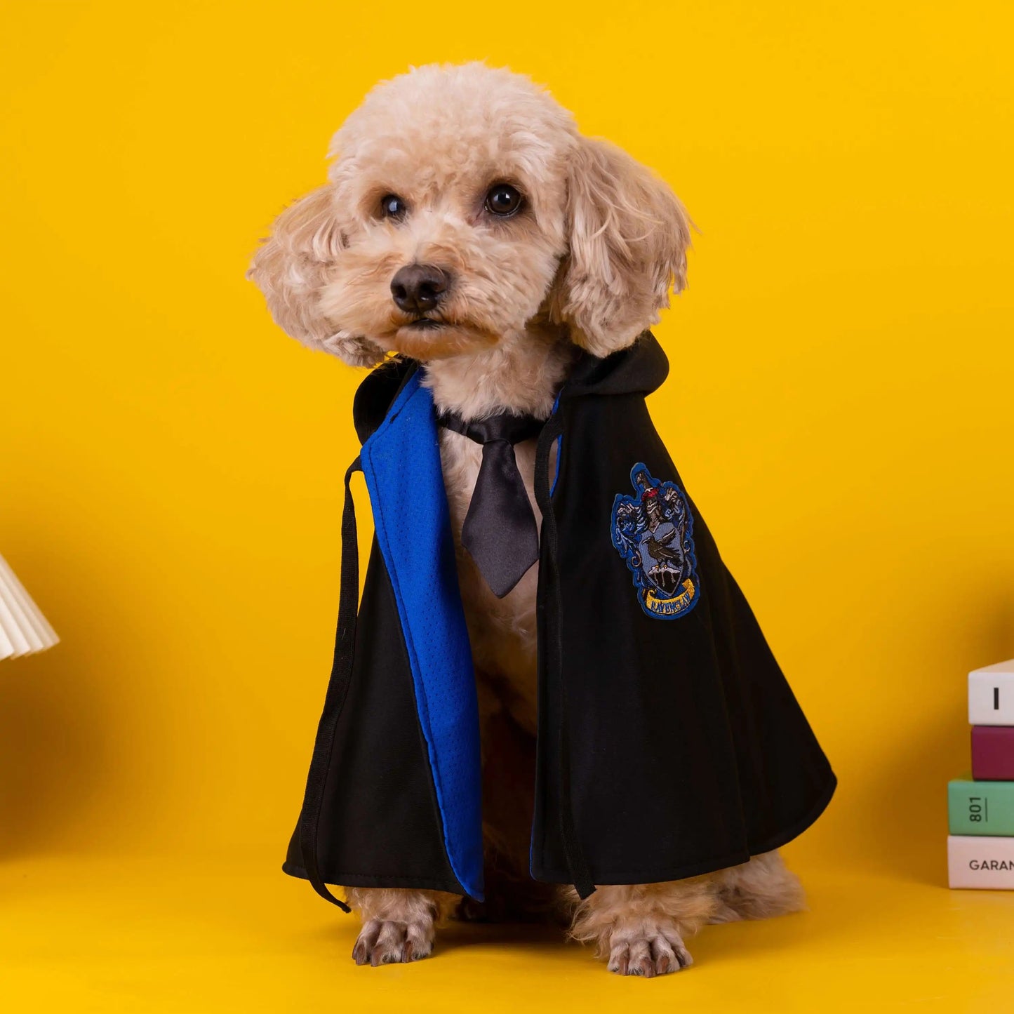 Cat Halloween Costume: Magic Academy Role Play for Cats and Dogs