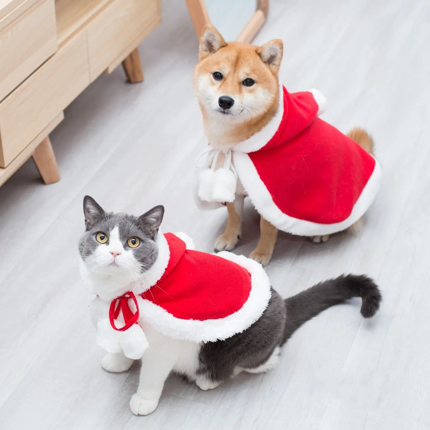 Pet Christmas Cape