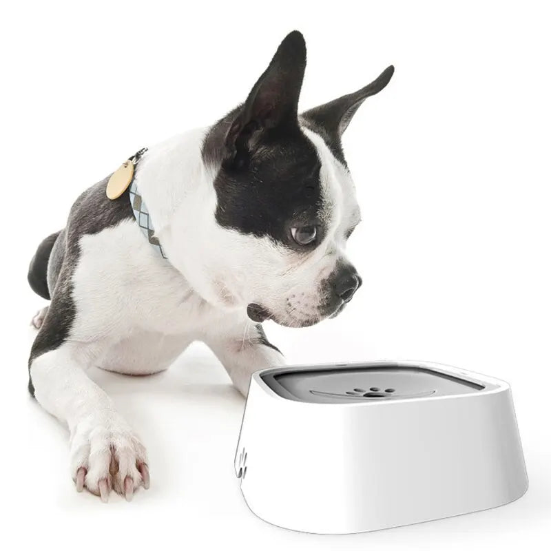 Drinking Water Bowl - Floating Non-Wetting Mouth Slow Anti-Overflow Dispenser