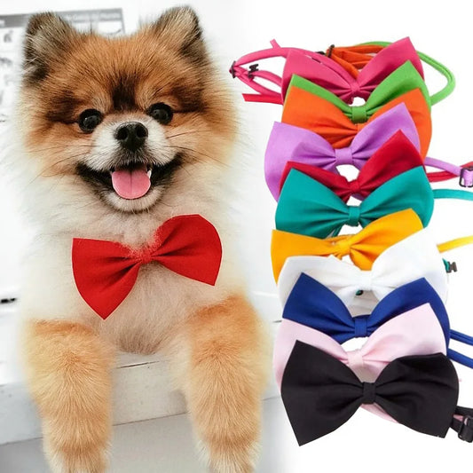 Adjustable Pet Bow Tie Collar - Perfect for Dogs & Cats