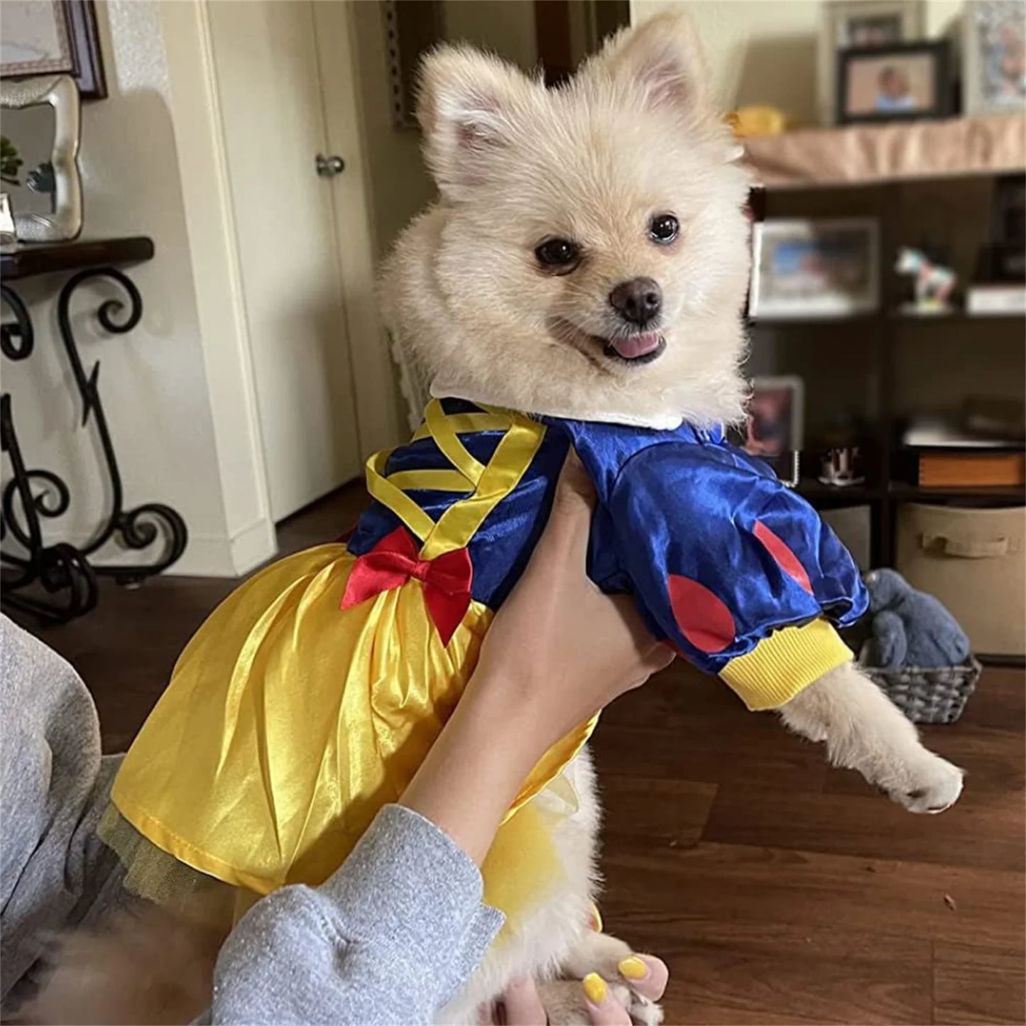 Princess Dog Costume – Snow White Dress