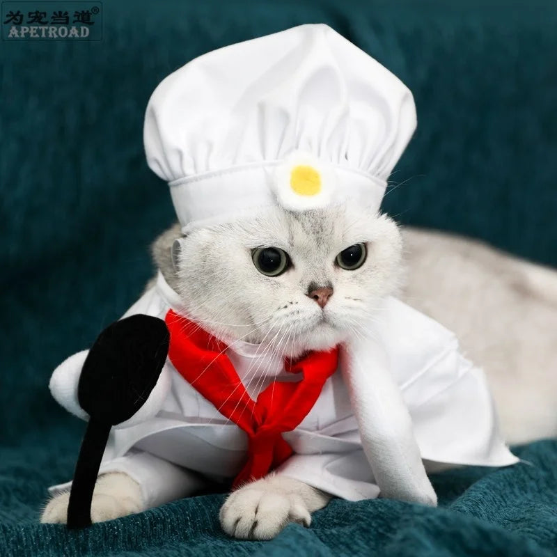 Kawaii Pet Chef Cosplay Costume – Adorable Party & Photography Props! 🍳🐾