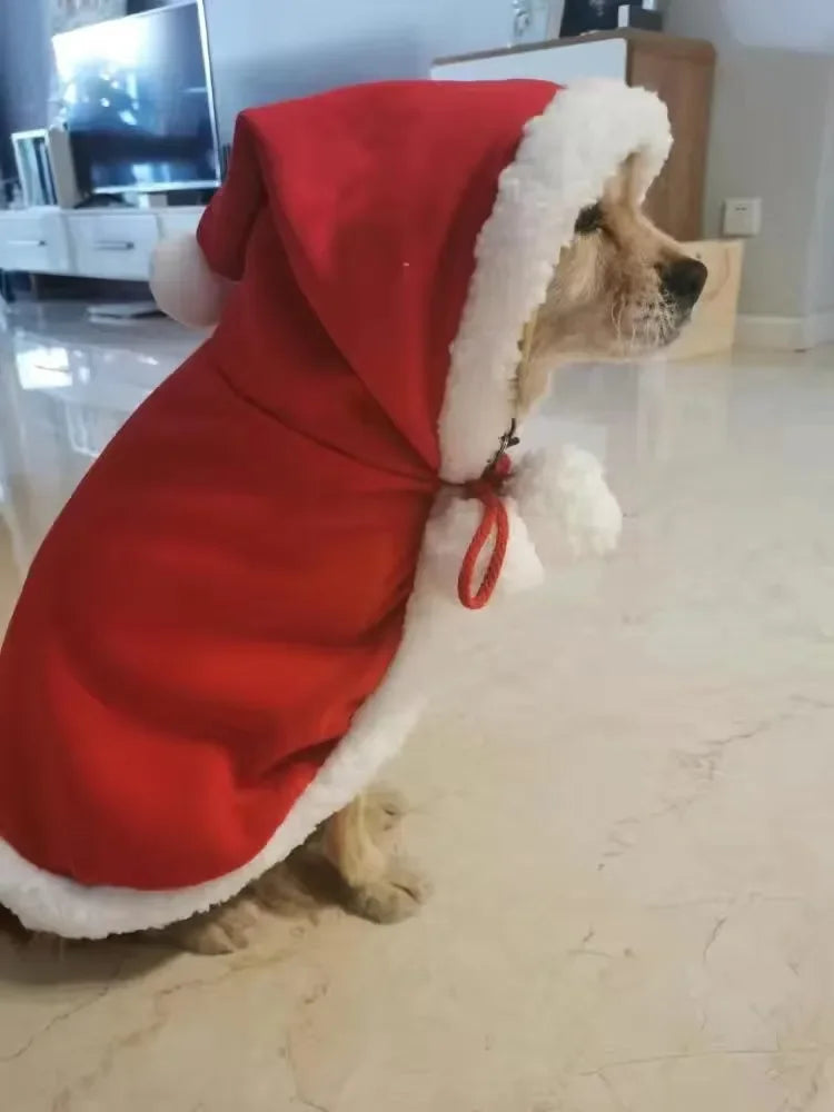 Pet Christmas Cape