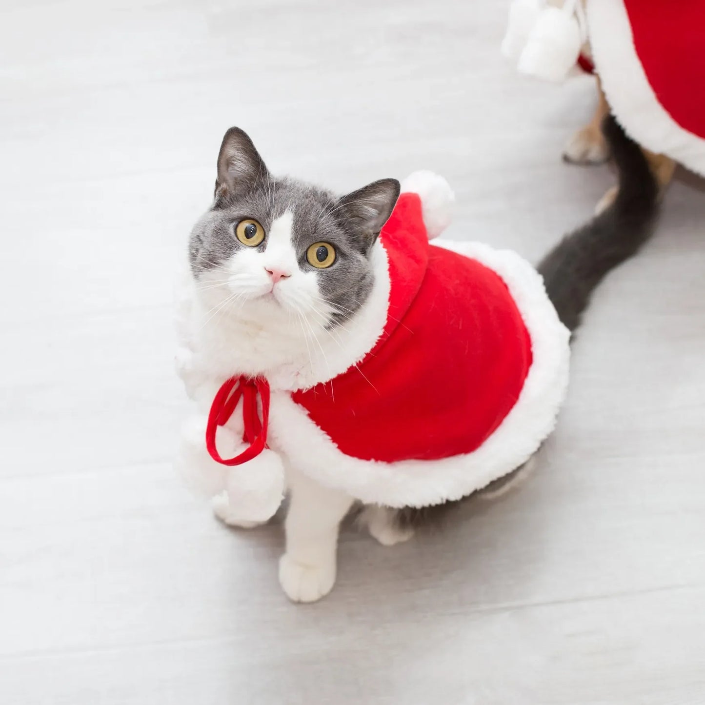 Pet Christmas Cape