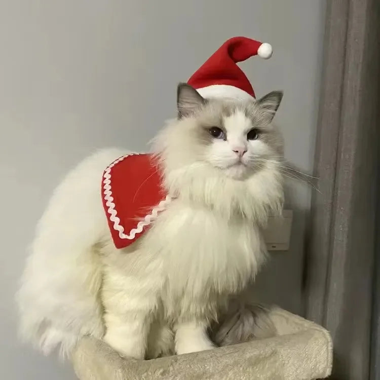 Pet Christmas Cape