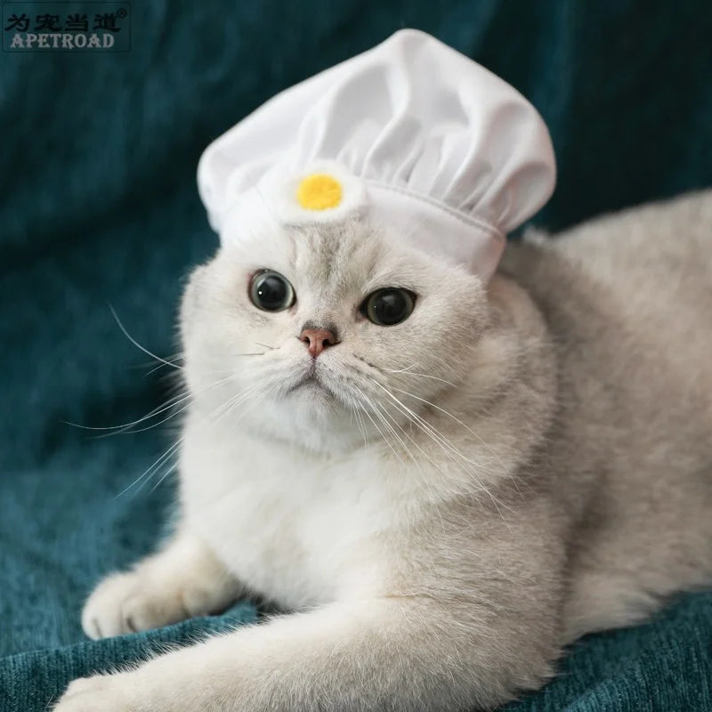 Kawaii Pet Chef Cosplay Costume – Adorable Party & Photography Props! 🍳🐾