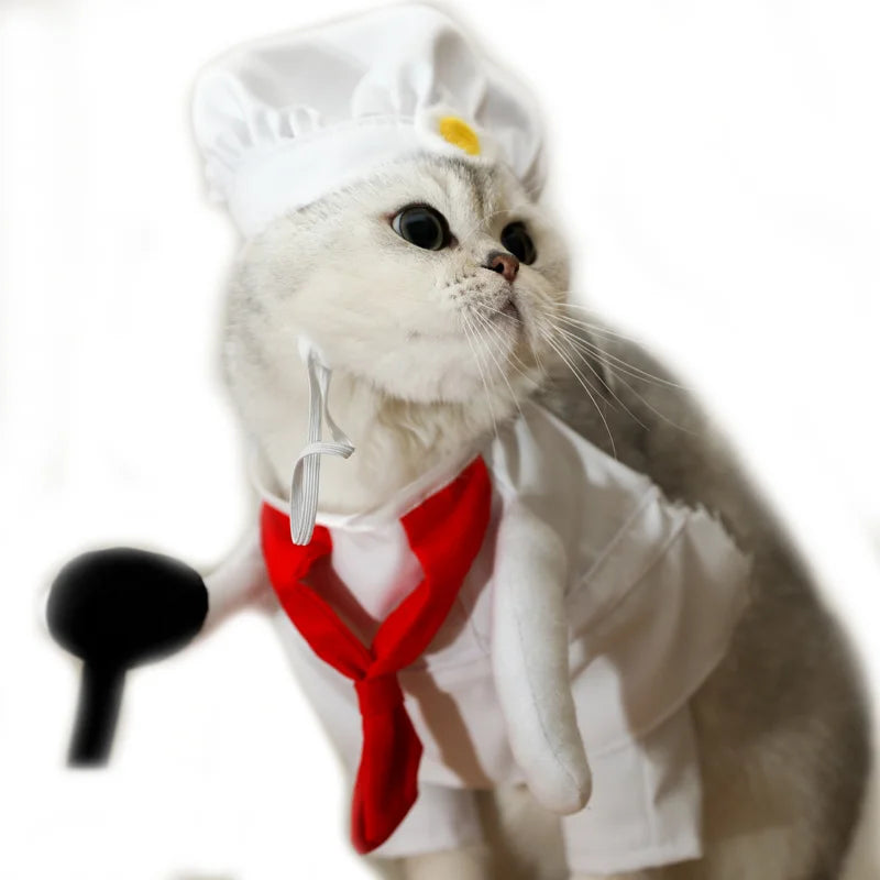 Kawaii Pet Chef Cosplay Costume – Adorable Party & Photography Props! 🍳🐾