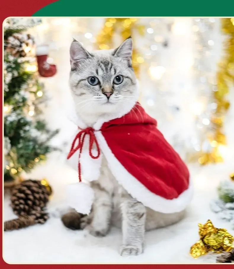 Pet Christmas Cape