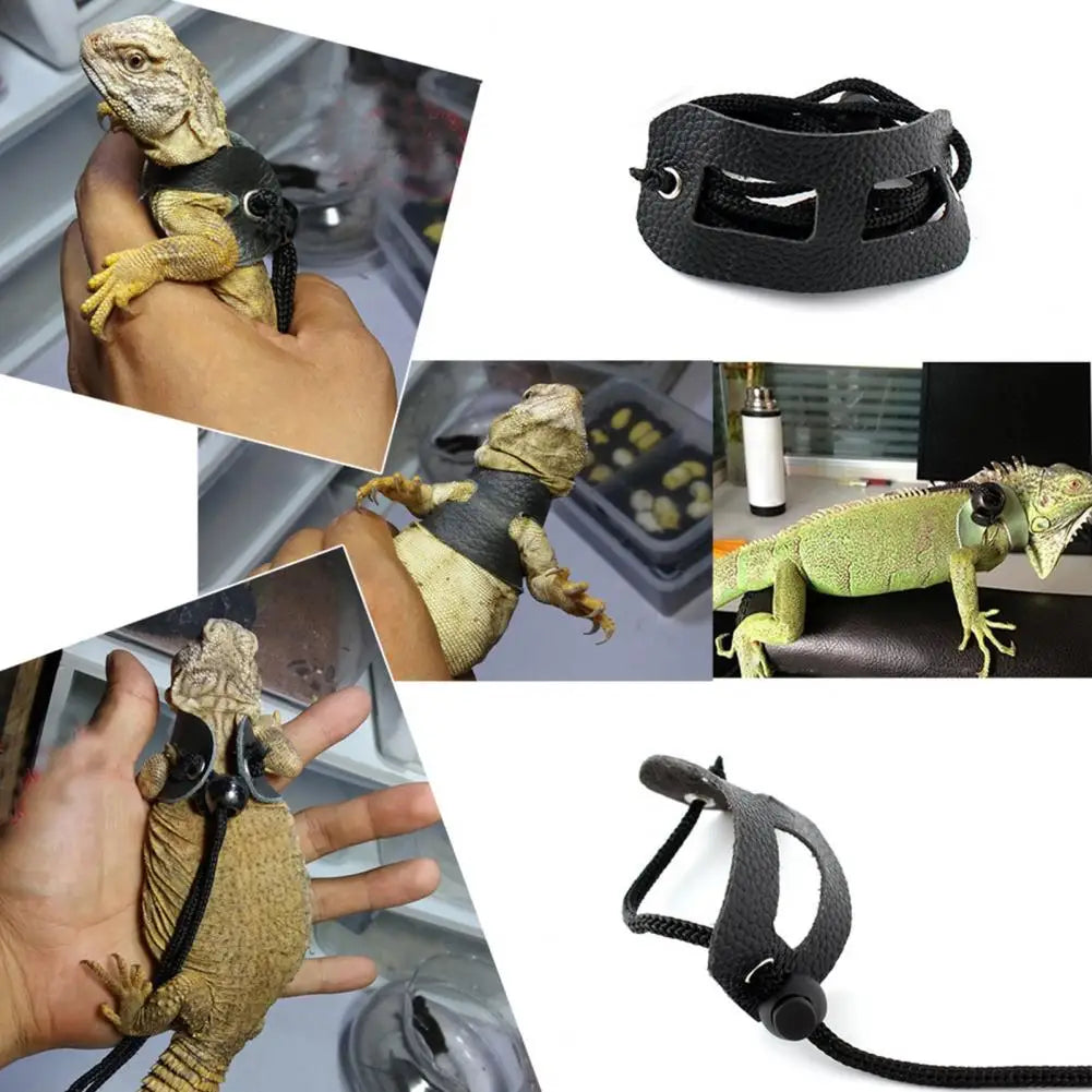 Adjustable Lizard Harness Set - Soft & Durable