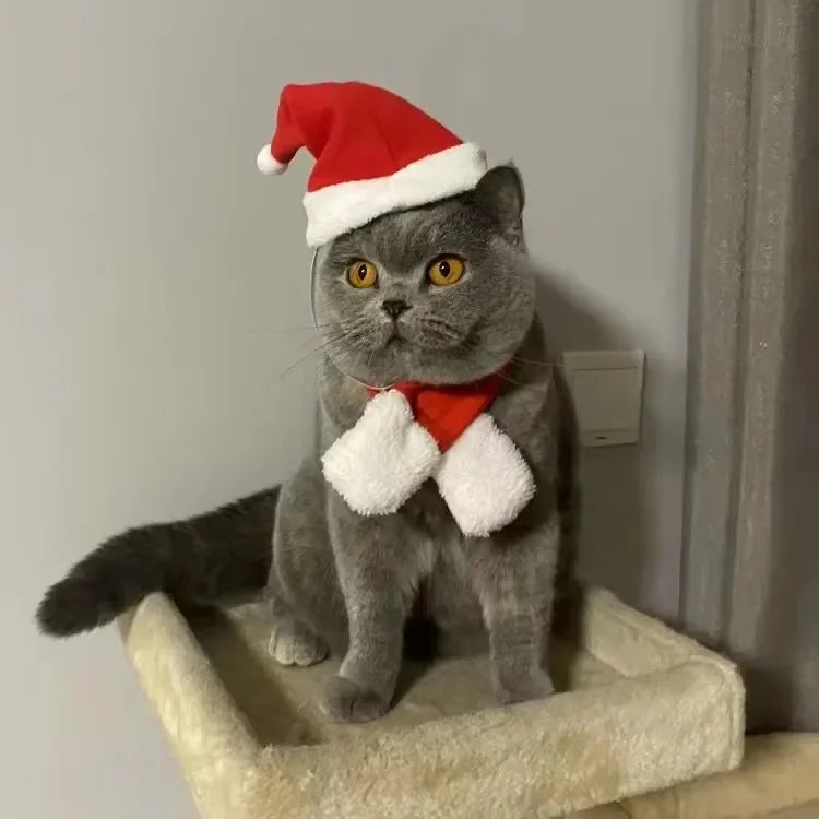 Pet Christmas Cape