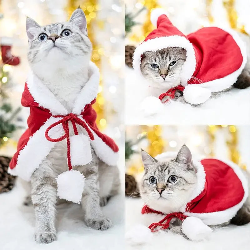 Pet Christmas Cape