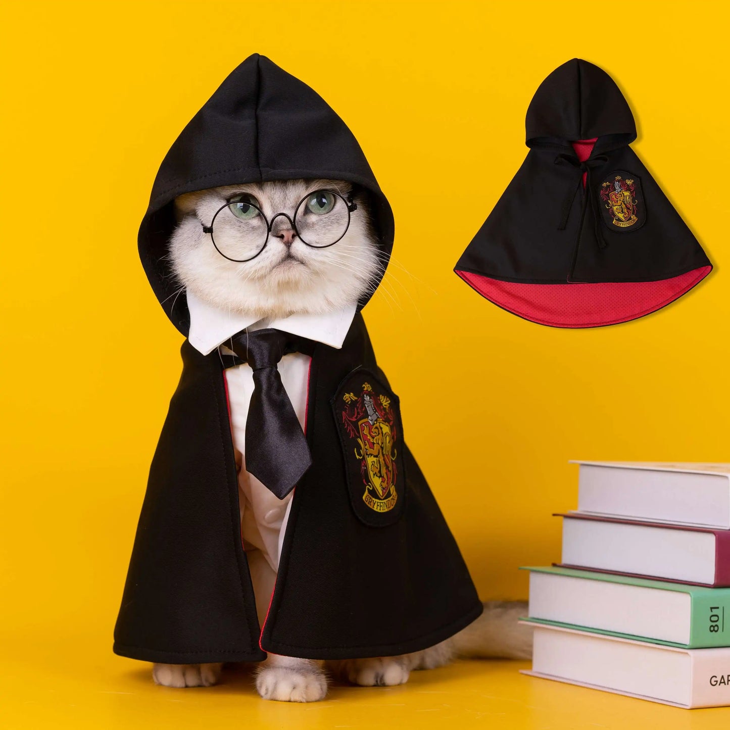 Cat Halloween Costume: Magic Academy Role Play for Cats and Dogs