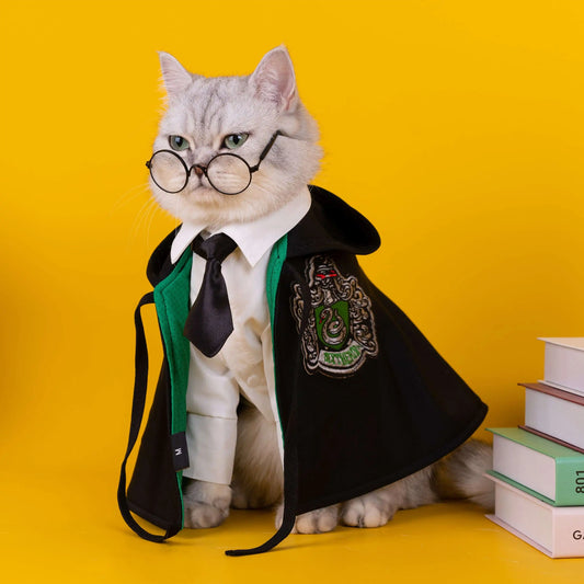 Cat Halloween Costume: Magic Academy Role Play for Cats and Dogs