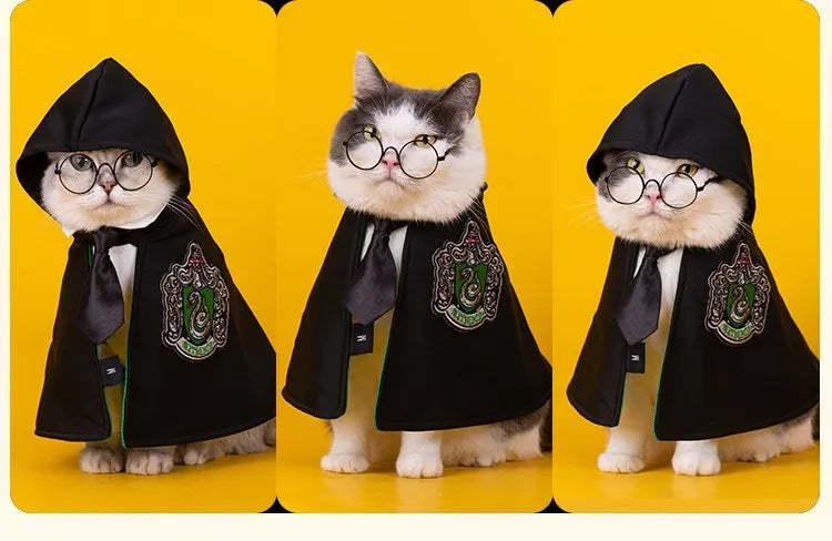 Cat Halloween Costume: Magic Academy Role Play for Cats and Dogs