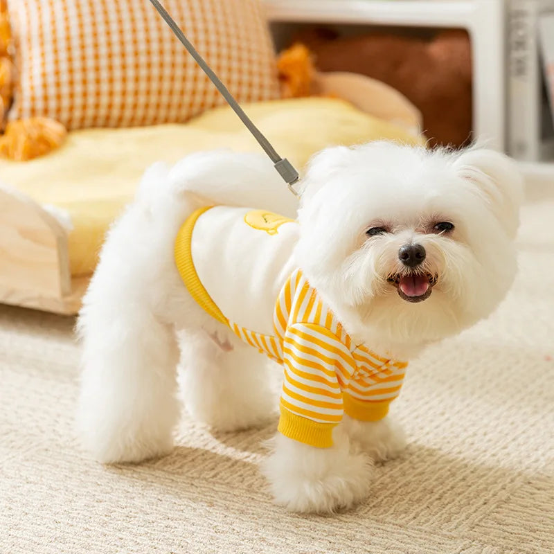 Autumn Dog Striped Hoodies: Cartoon Pattern Fashionable Sweatshirts for Puppies and Cats