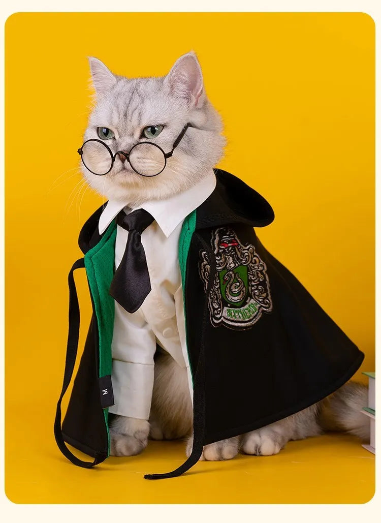 Cat Halloween Costume: Magic Academy Role Play for Cats and Dogs